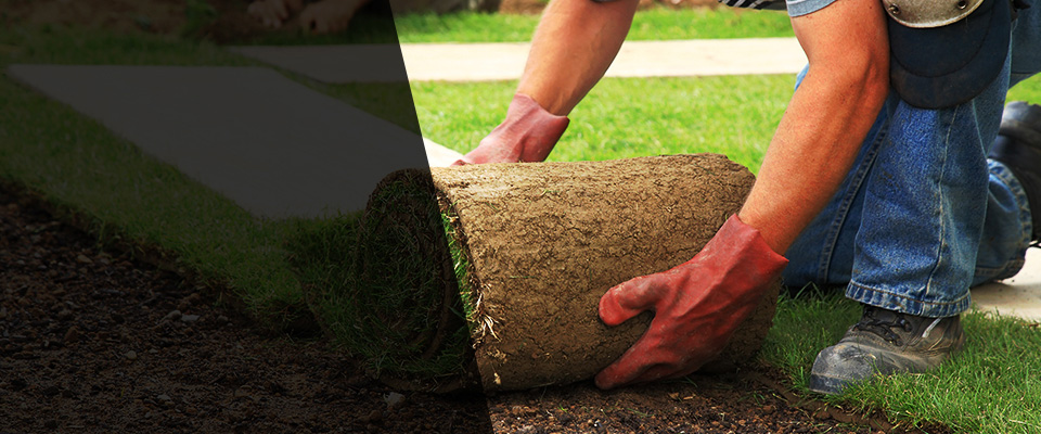 Cheswick Landscapers